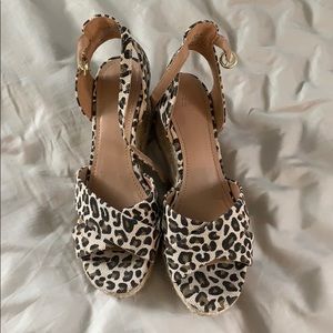 Cheetah pumps